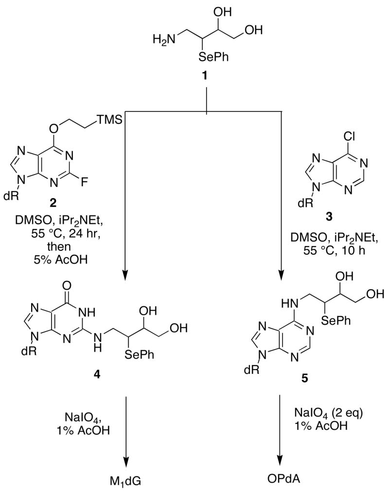 Scheme 1