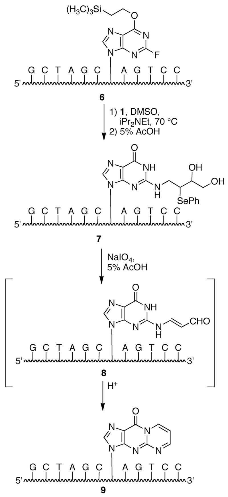 Scheme 2