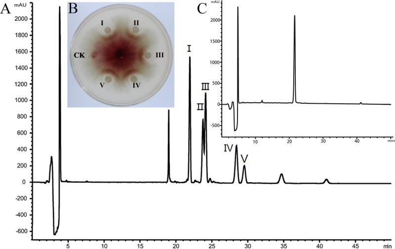 FIG 2