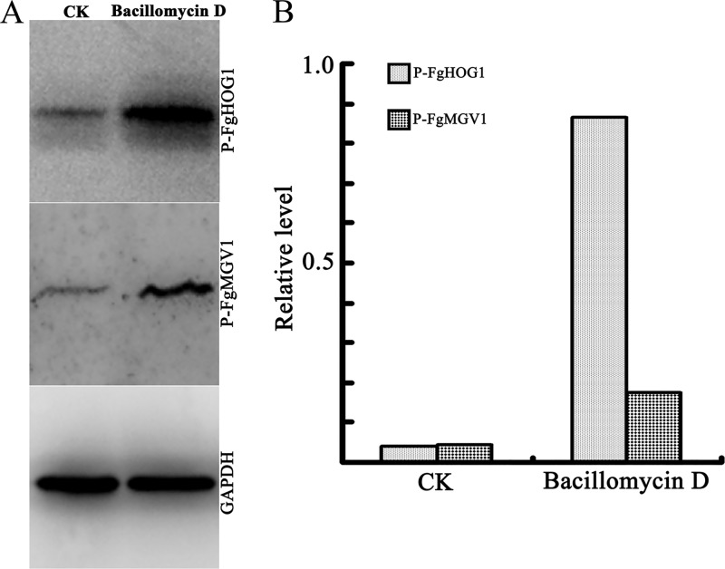 FIG 9