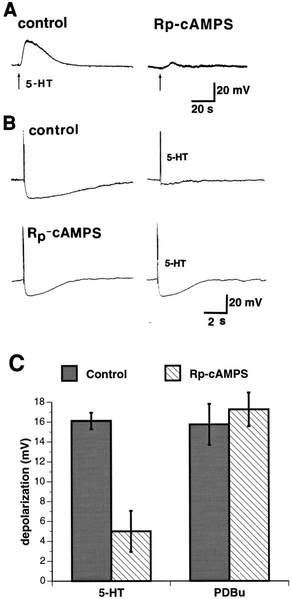 Fig. 10.