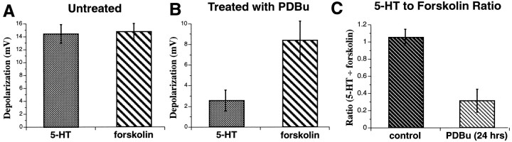 Fig. 8.