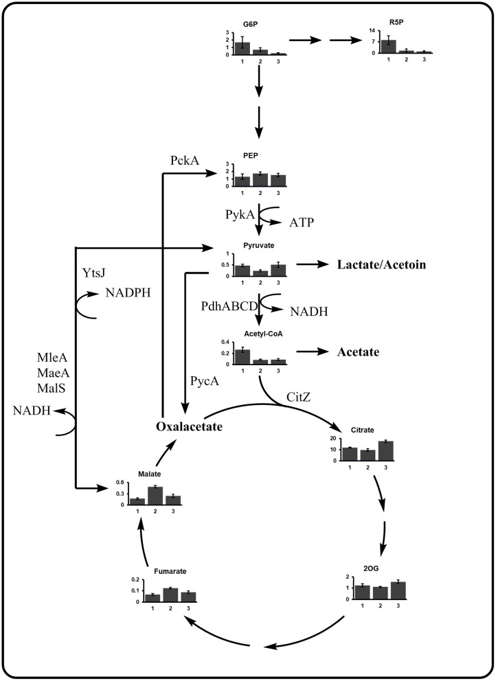 Figure 6