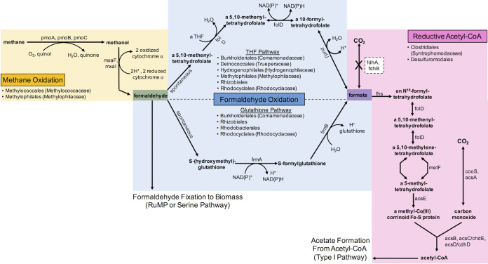 FIG 8