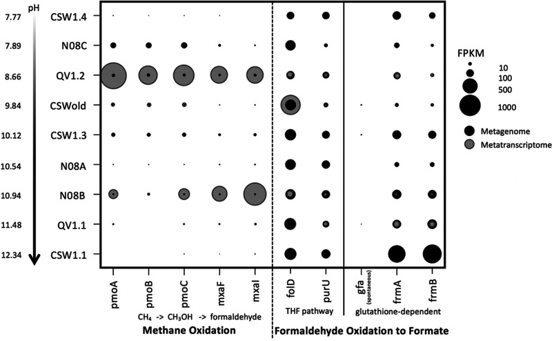 FIG 4