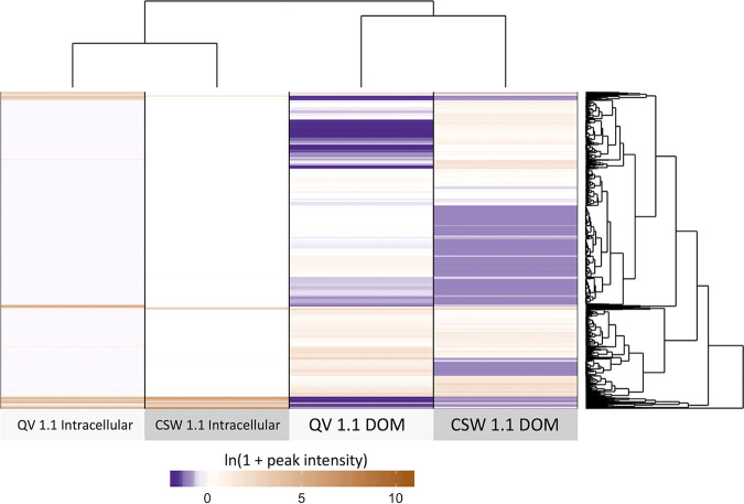 FIG 6