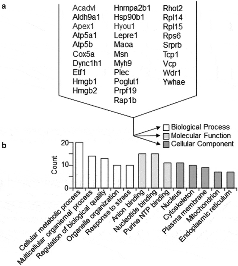 Figure 6.