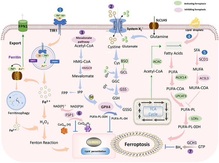 Figure 2