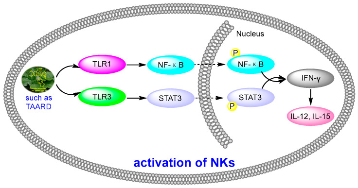 Figure 12