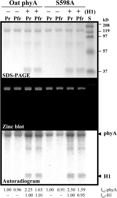 Figure 3.