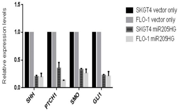 Figure 17