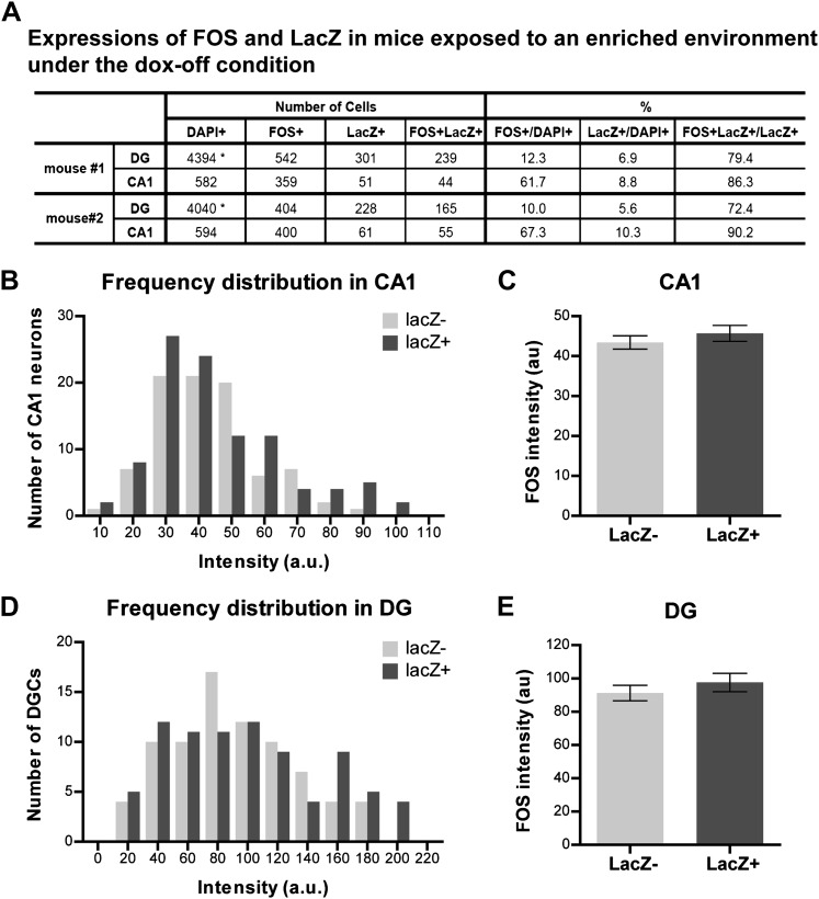 Figure 1—figure supplement 3.