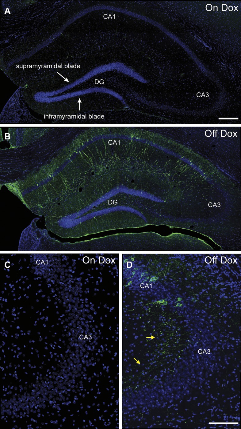 Figure 1—figure supplement 2.