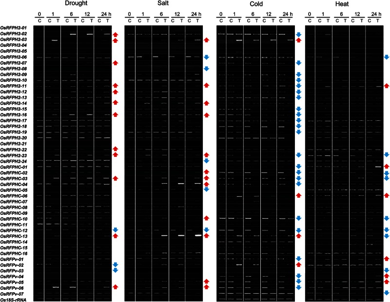 Figure 2.