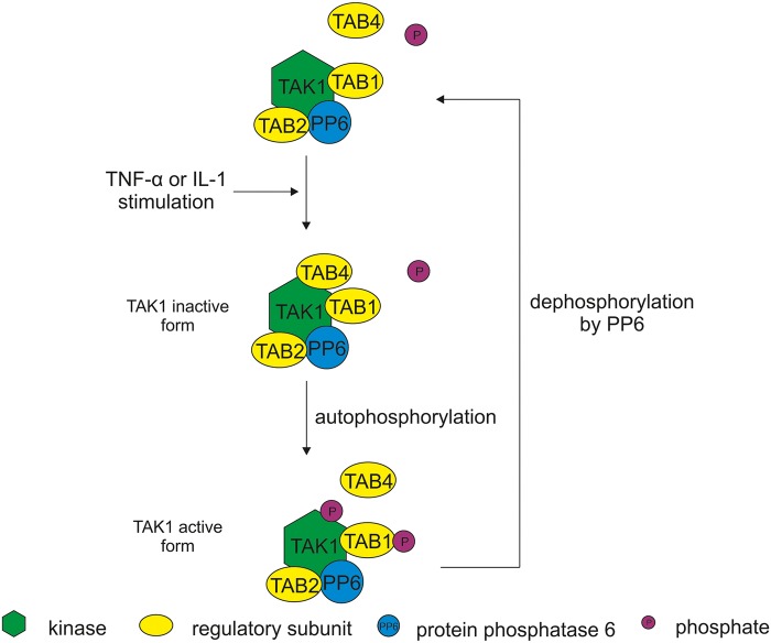 Figure 3.