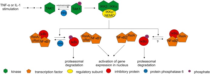 Figure 2.