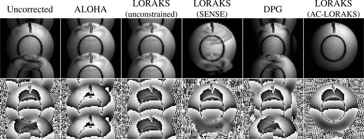 Fig. 6: