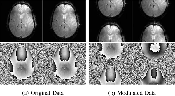 Fig. 1: