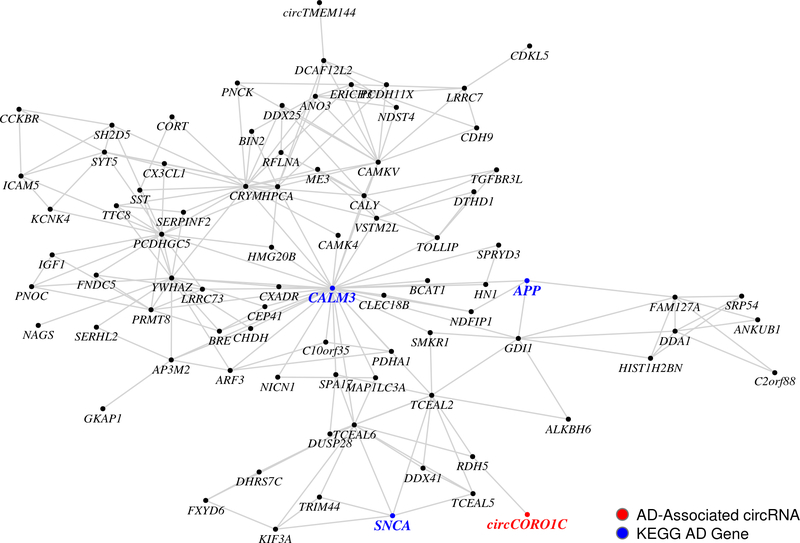 Figure 4: