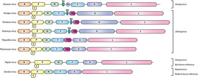 Figure 2.