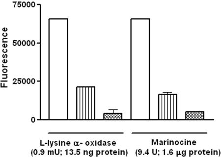 FIG. 6.