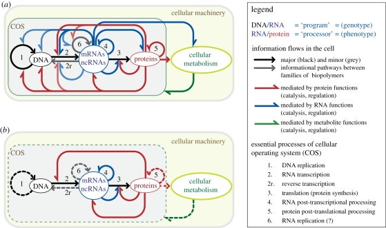 Figure 2.