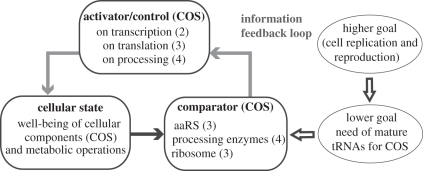 Figure 6.