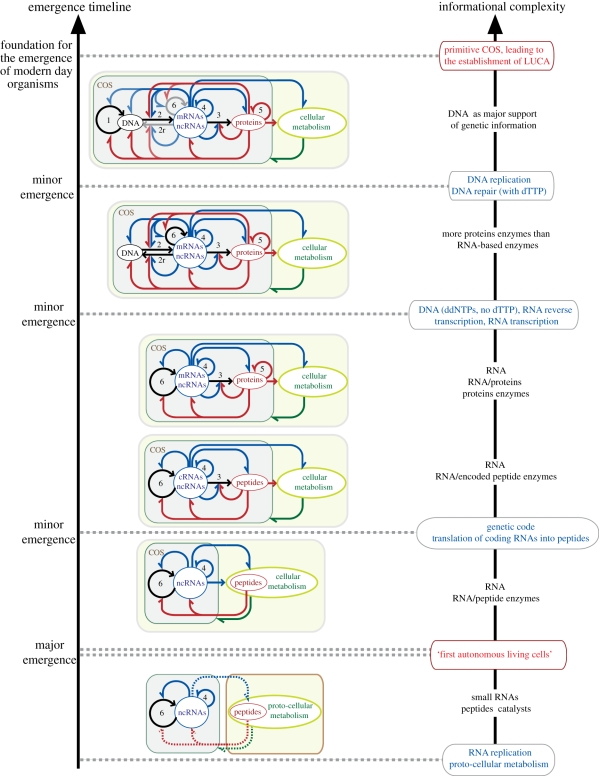 Figure 7.