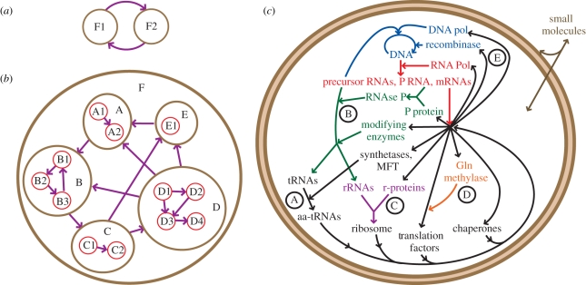 Figure 1.