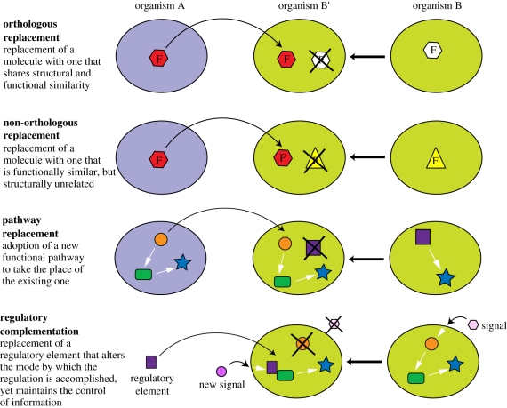 Figure 4.