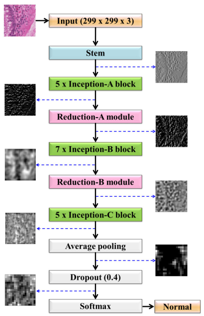 Figure 13