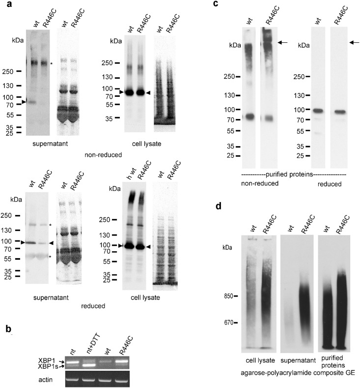 Fig 4