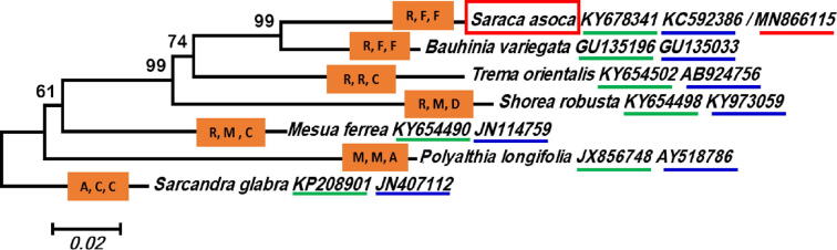 Fig. 5