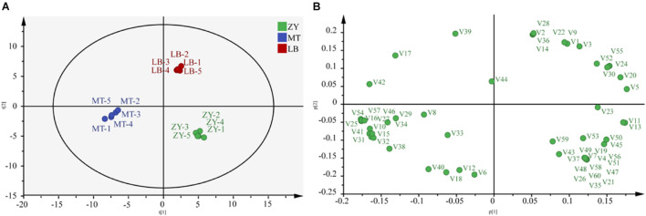 FIGURE 3