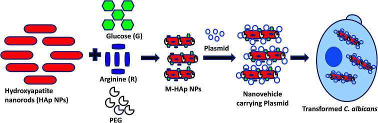 graphic file with name c8na00365c-ga.jpg