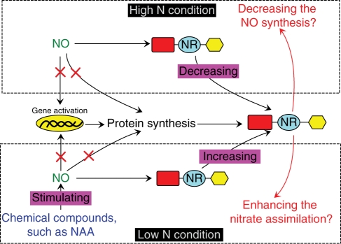 Fig. 7.