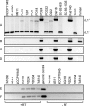 FIG 2