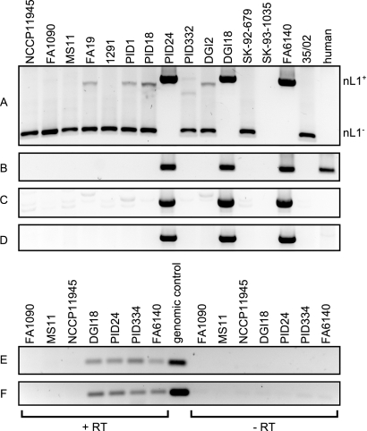 FIG 2 