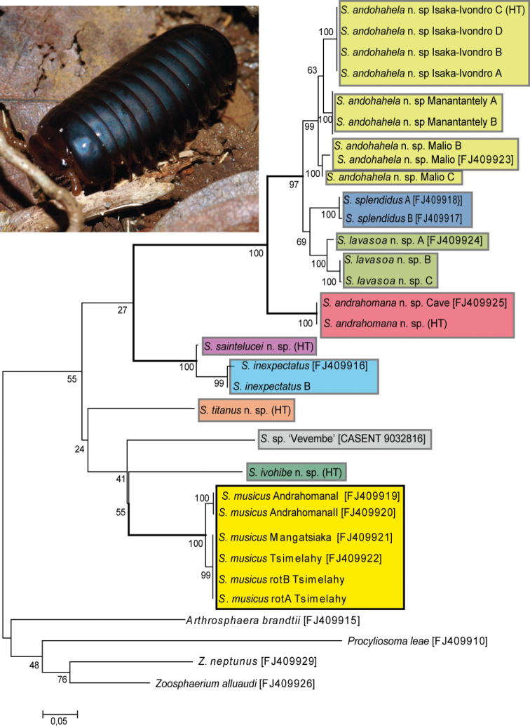 Figure 20.