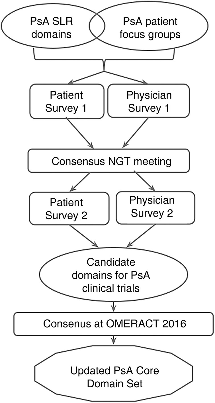 Figure 1