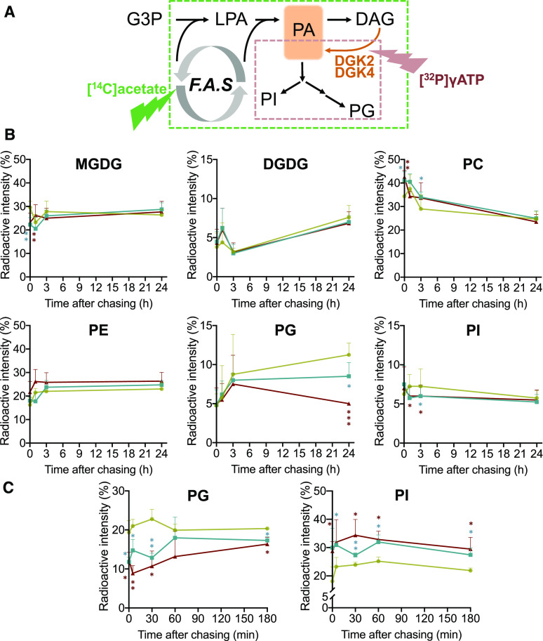 Figure 10.