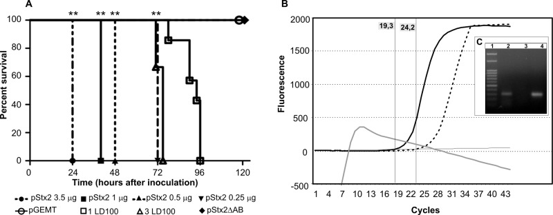 FIG 1 