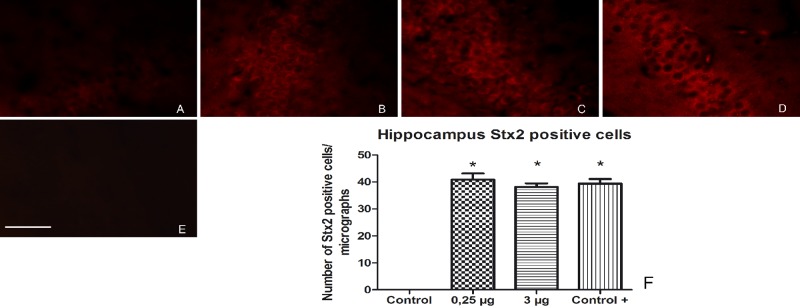 FIG 6 