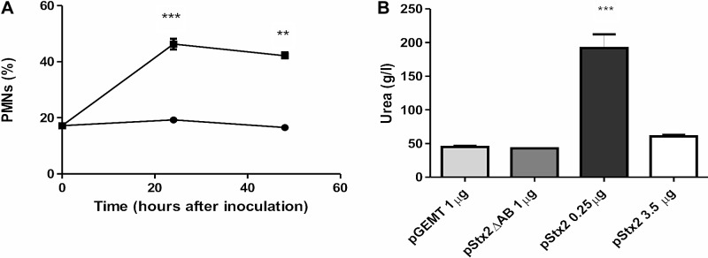 FIG 3 