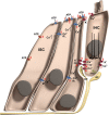 Fig. 2