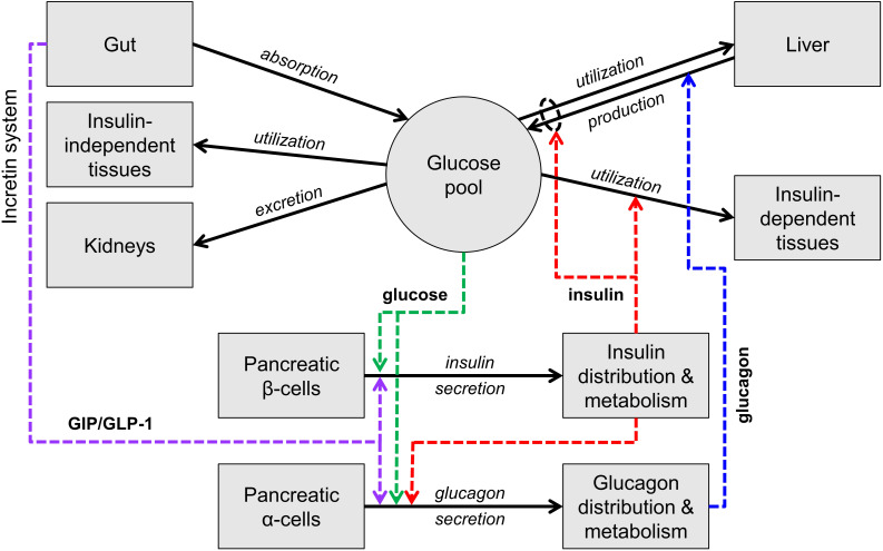 FIGURE 1