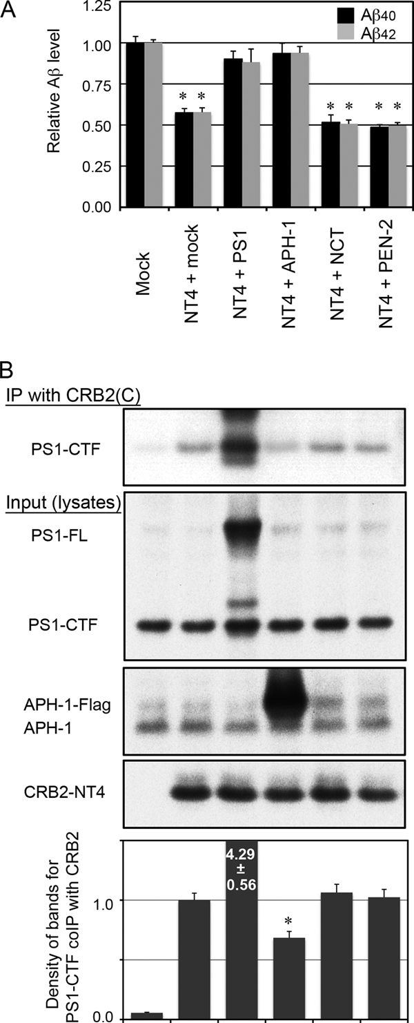 FIGURE 7.