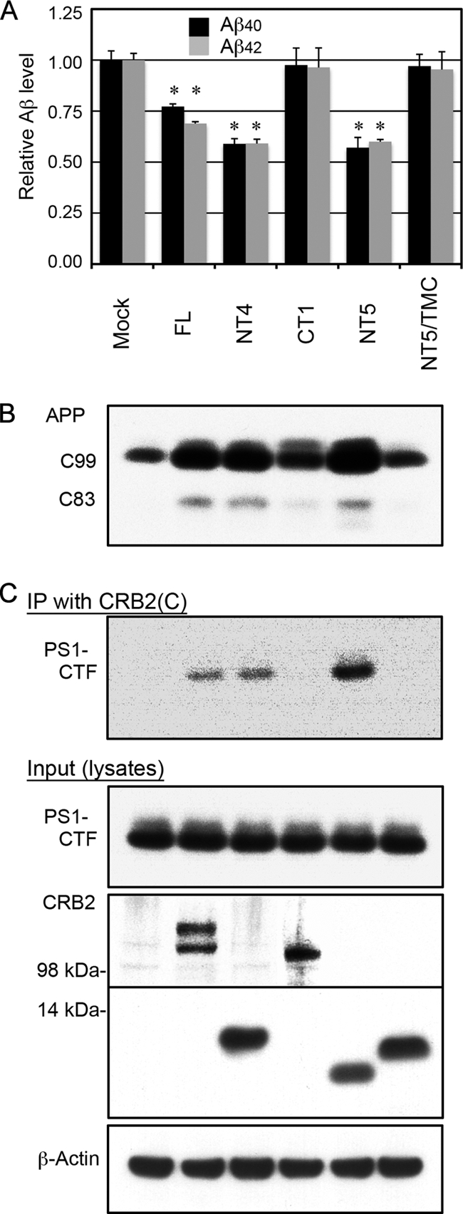 FIGURE 5.