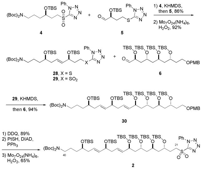 Scheme 6