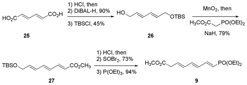 Scheme 5